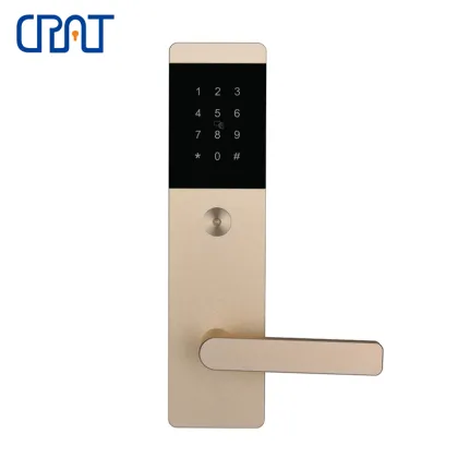 Smart Security Fingerprint Password Apartment Lock