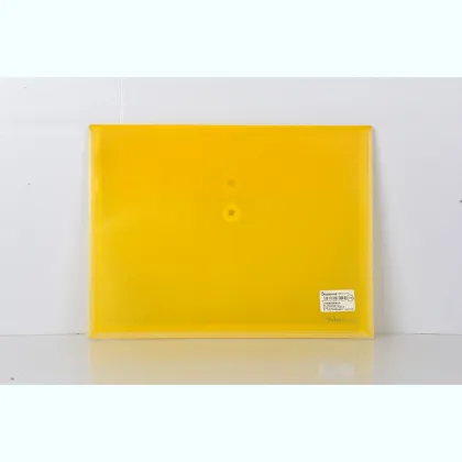 plastic transparent portable folder