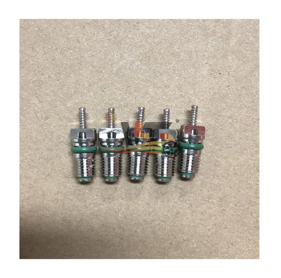 Universal Valve Core R12R13 in Box for Automobile Air Conditioning Compressor