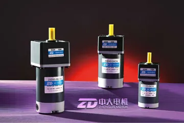 12/24/90V 6W~120W Micro DC Reduction Gear Motor
