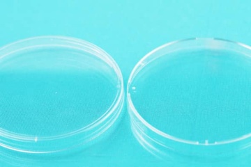 Automatic petri dish