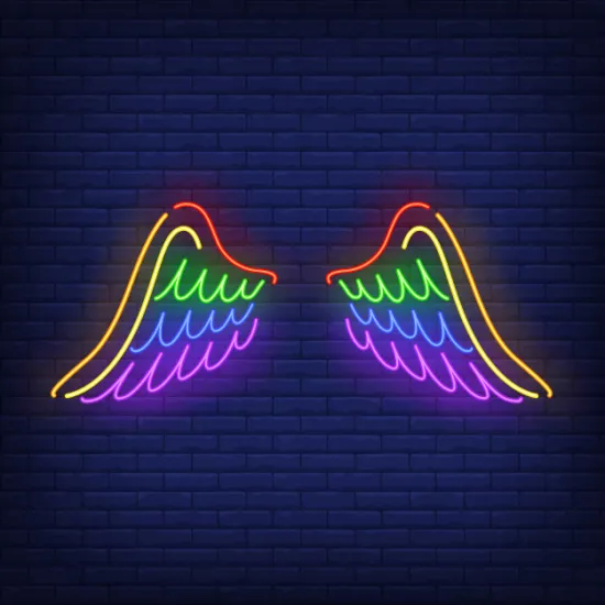 Custom LED Neon Rope and Acrylic LED Neon Flex 24V Signs