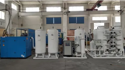 PAS Oxygen Concentrator Oxygen Generator