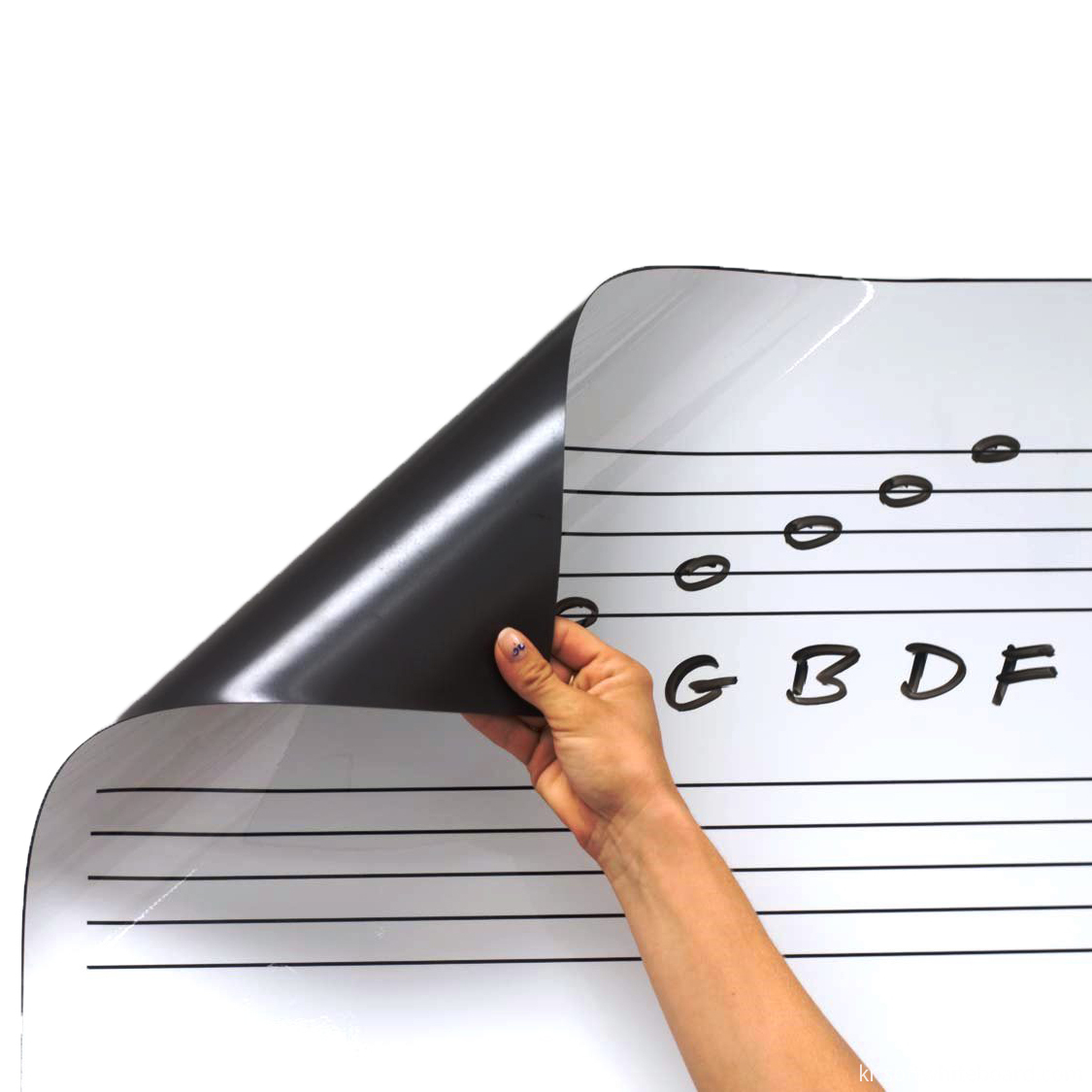 롤업 건조 소거 음악 스태프 자석 -3 roll-up-dry-erase-music-staff-magnet-3