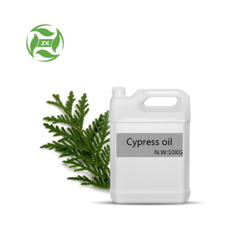 Factory Supply 100% Pure Cypress Essential Oil