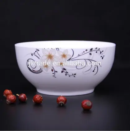 Elegance Fine Porcelain Arcopal Dinner Set