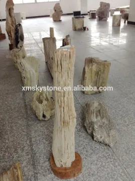 Garden Landscaping petrified wood