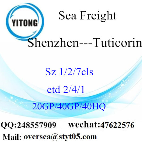Transport maritime de port de Shenzhen à Tuticorin