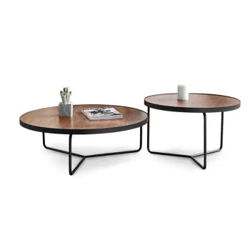 Modern High-Quality Nordic Wrought Iron Wood Coffee Table (SP-ET216)