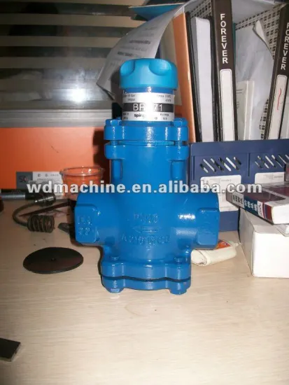 BRV7 Direct Acting Bellows safety relief valve