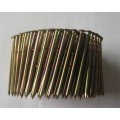 Zinc Plated Coil Nails Zinc Plating-coloring Coil Nails Supplier