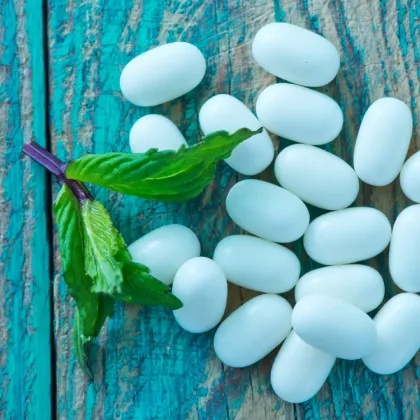 Pure Stevia No Additives Sweetener Powdered for Baking