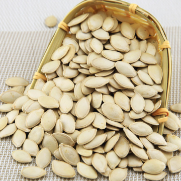 Noix aliments de la citrouille graines de citrouille dame ongle