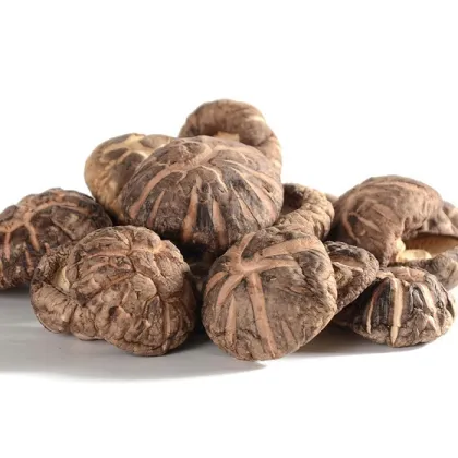 Black Edibble fungus flower mushroom