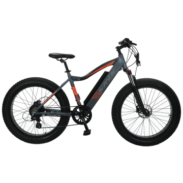 Tw-8-1 Middle Motor MTB Ebike 29in