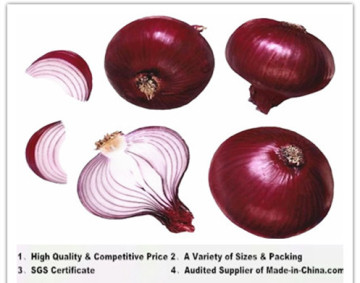 China 2014 Fresh Red Onions