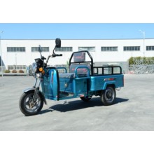 Hot-selling Flat Panel Electric Tricycle