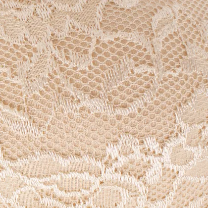 Lace Bra Silicone Bra Invisible Adhesive Bra