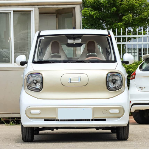 小型电动多用途车
