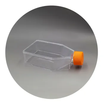 Large Surface Area Polystyrene Cell Culture Flask: Enhancing Lab Research and Cell Cultivation