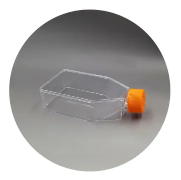 Large Surface Area Polystyrene Cell Culture Flask: Enhancing Lab Research and Cell Cultivation