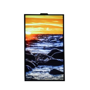 55-inčni polu-vanjski LCD prozor
