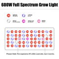 Full Spectrum LED växer ljus för inomhus växande