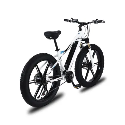 750W Focus E-Bike Bosch Battery Conversion Kit: Enhancing Your Electric Bicycle Experience
