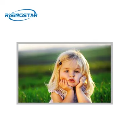 LQ156M1LG21 NEW SHARP TFT-LCD Module