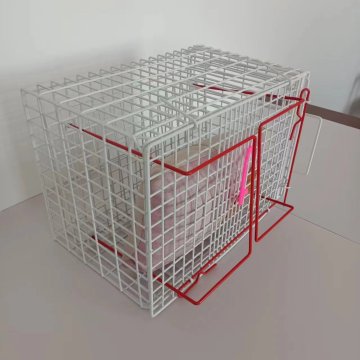 Manufacturers Offering Anti-Scratch Cat Medical Injection Cages