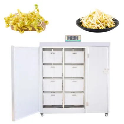 Automatic Mung Bean Sprout Machinery for Practical Bean Sprout Production