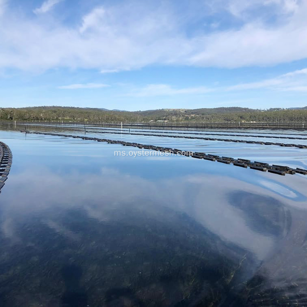 Beg mesh pembiakan Tiram saiz tersuai