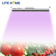 200w ضوء الشمس تنمو ضوء led ل