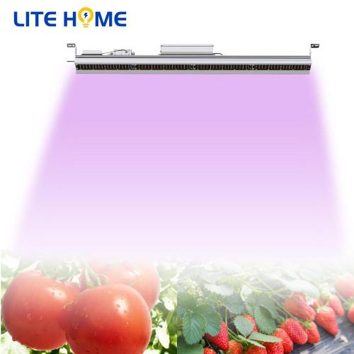 white grow lights for plants