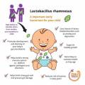 Lacticaseibacillus Rhamnosus Lr05 Funzione nel corpo e benefici nutrizionali per l'organismo Rhamnosus