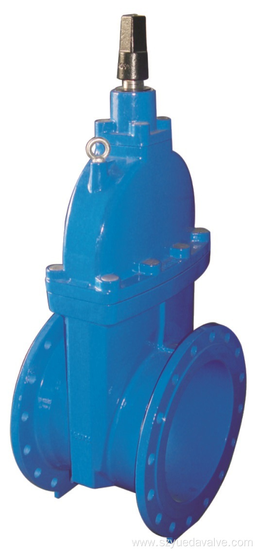 Resilient Seated Gate Valve Large Size with Cap