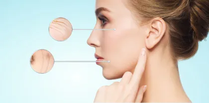 Bovine collagen peptide powder