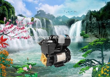 China Supplier 100% Output Copper Wire Brass Impeller PS-130 Self-Priming water Small Electric Water Pump for House