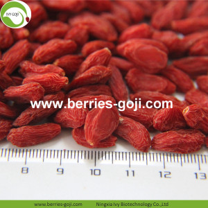 Jualan Panas Super Buah Kering Menurun Berat Badan Wolfberry