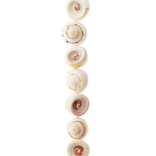 Craft White Swirl Shell Beads for Jewelry Making