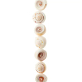Craft White Swirl Shell Beads για την κατασκευή κοσμημάτων