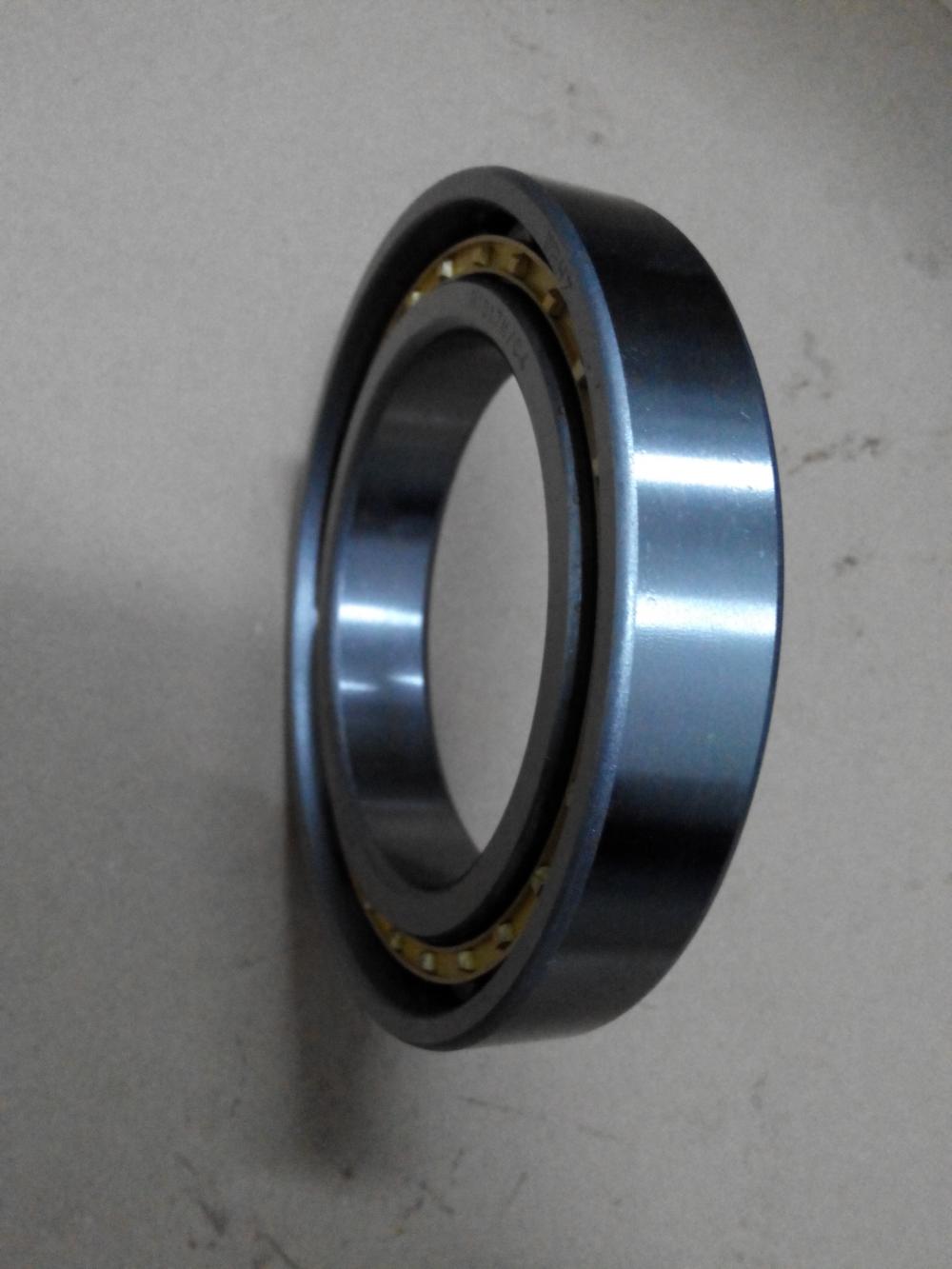 154-13-41160 D85A-18 D85A-21 D95S-2 Bearing