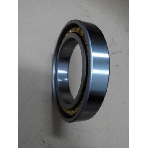 154-13-41160 D85A-18 D85A-21 D95S-2 Bearing