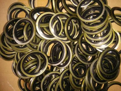 Rubber Bonded Seal Gaskets