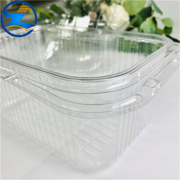 Transparent Pet Egg Tray Food Tray Cake Tray