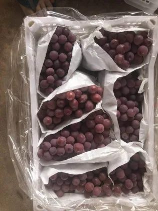 China red grape red globe yunnan grape fresh fruit exporter