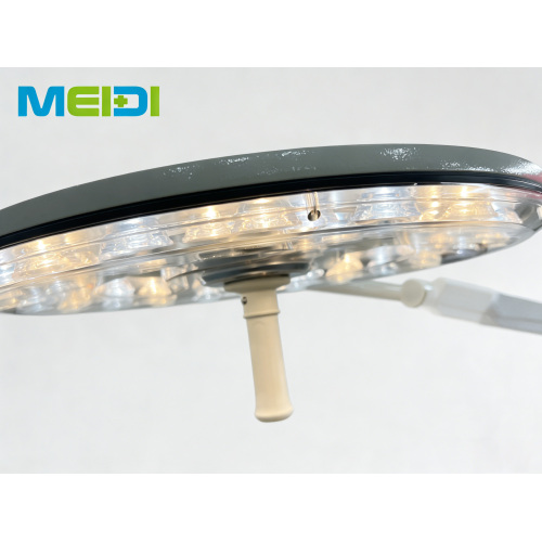 500 Portable Mobile LED Surgical Light, Floor Stand for Hospital & Vet Clinics