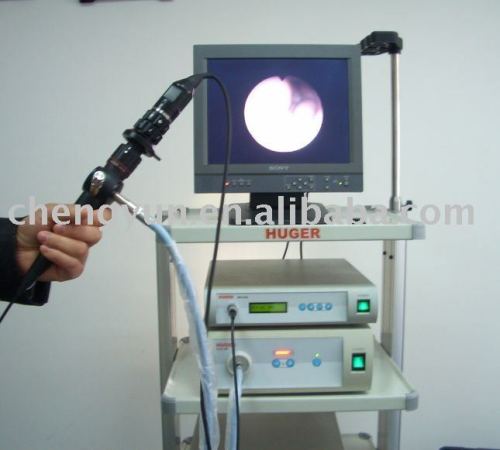 endoscope image system