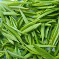Green Tea Extract Powder