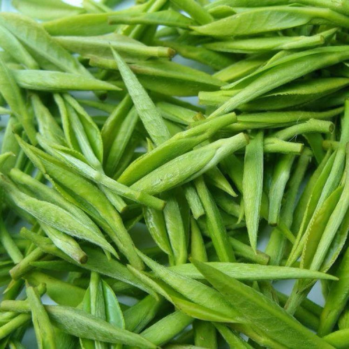 Green Tea Extract Powder